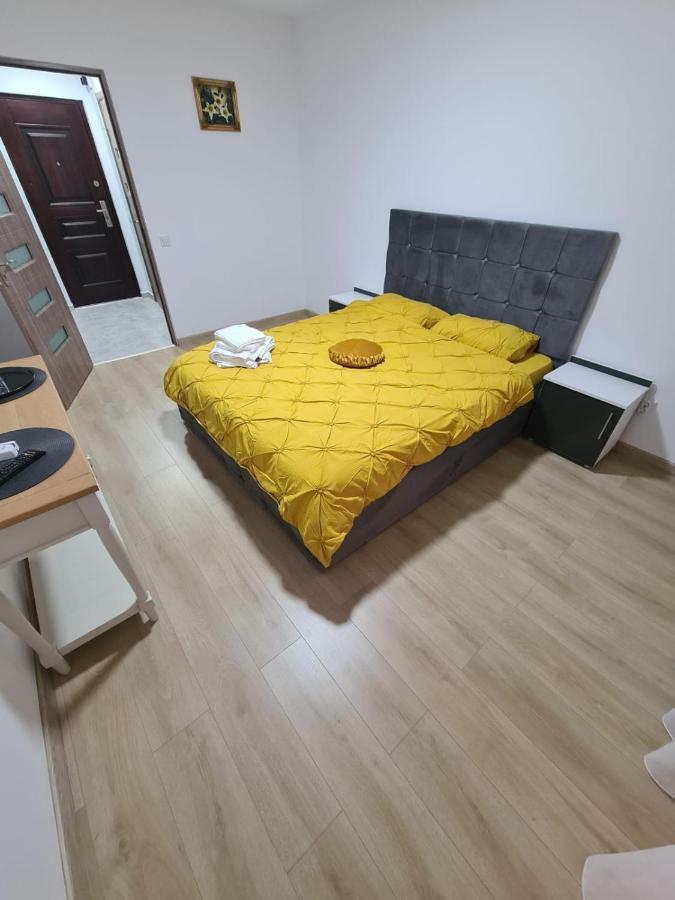 피테슈티 Garsoniera Luxury Kevin 아파트 외부 사진
